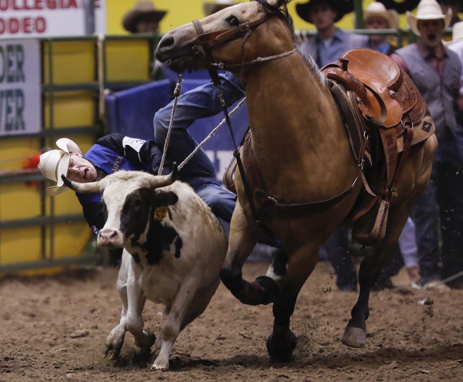 CNFR - Tuesday